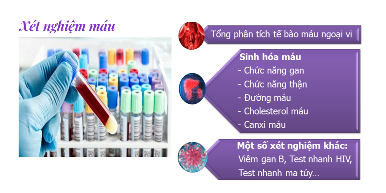 slide11.png